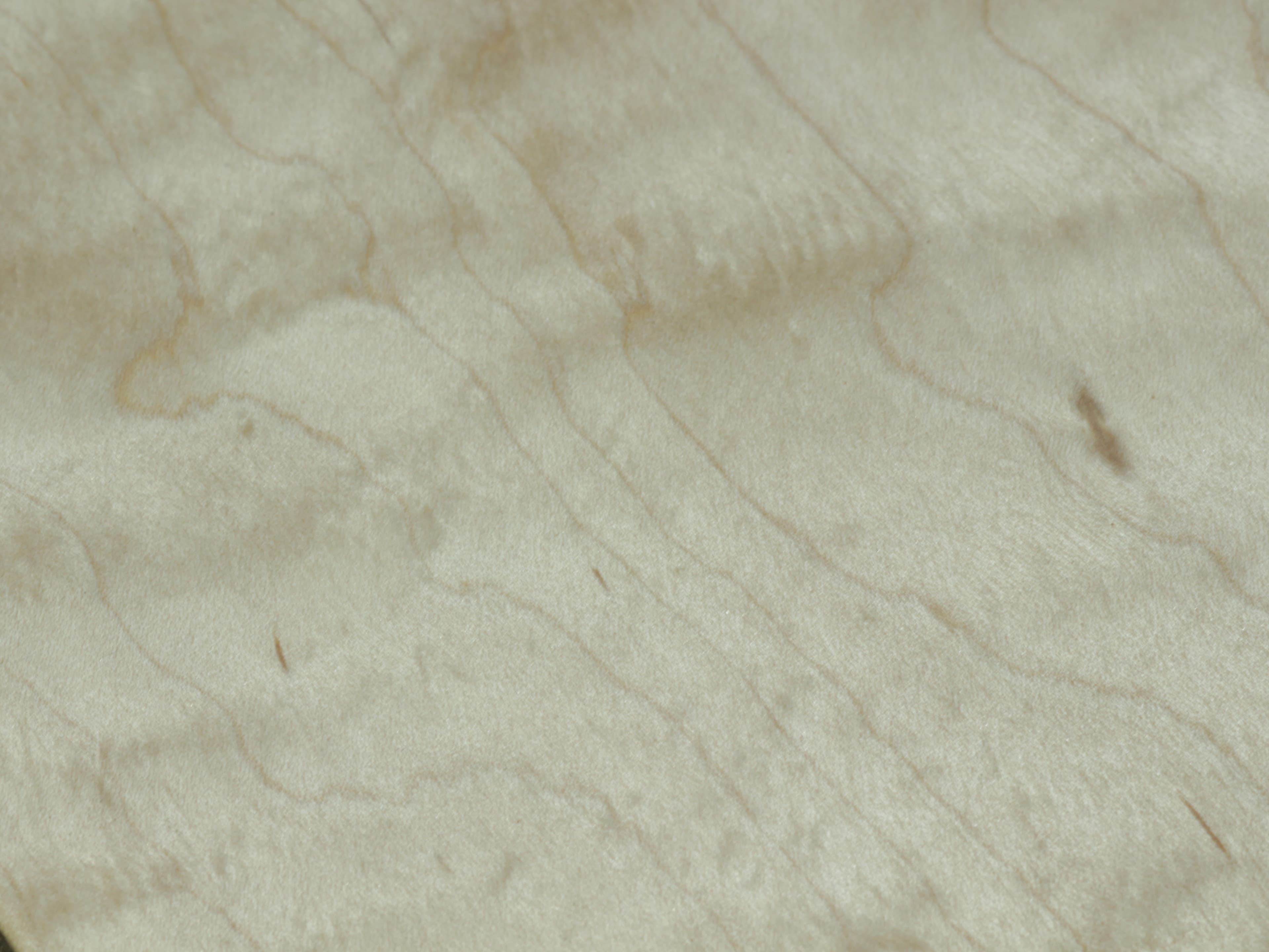 メープル (Maple)