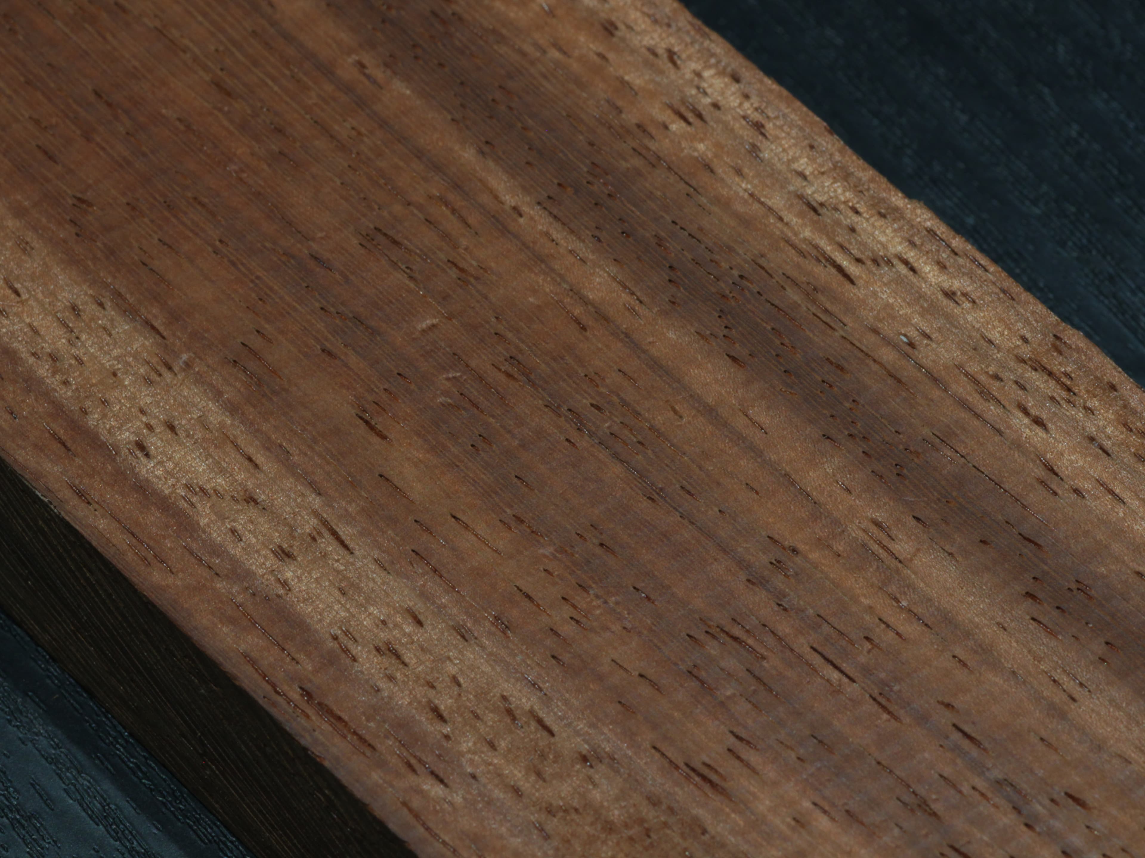 パドック (Padauk)