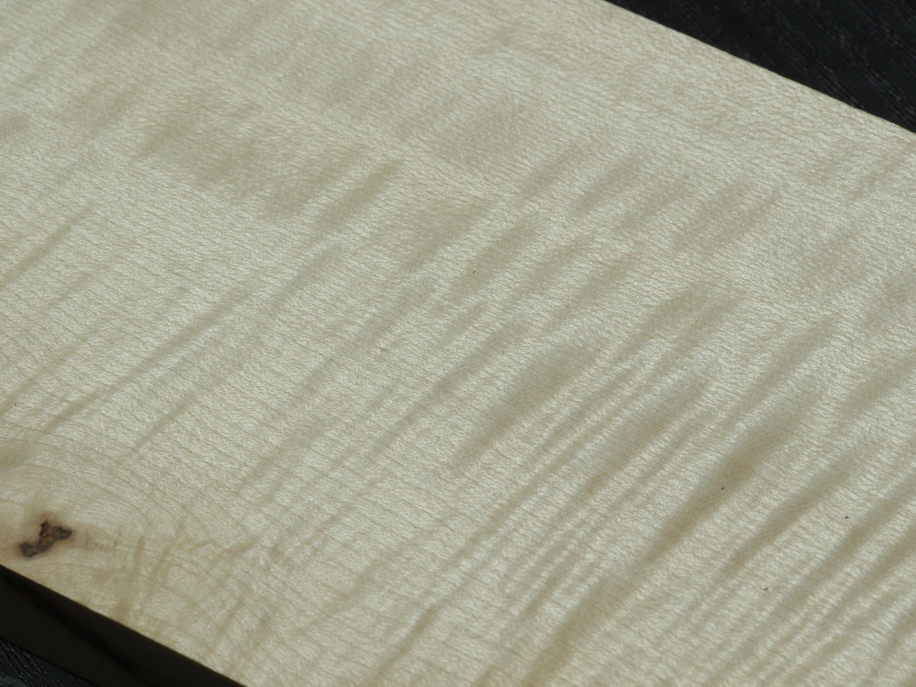 シカモア (Sycamore)